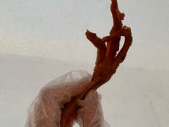 微辣大鸭脚-帝煌烤卤(羊子街店)