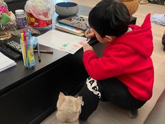 -东方名猫馆·英短金渐层布偶猫舍(环线广场1号楼店)