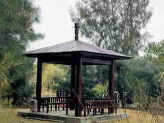 -漩门湾国家湿地公园