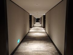 -新加坡乌节希尔顿酒店 (SG Clean)