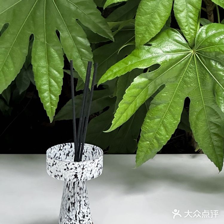 在上海 恋上绿薄荷味儿的夏天🍃