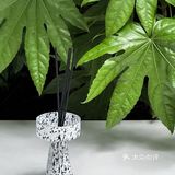 在上海 恋上绿薄荷味儿的夏天🍃