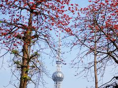 -文华公园(禅城区)