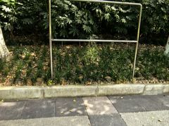 -苏州河梦清园环保主题公园