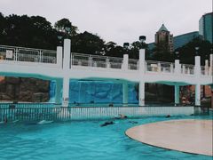 -九龙公园
