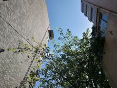 -四川大学(华西校区)