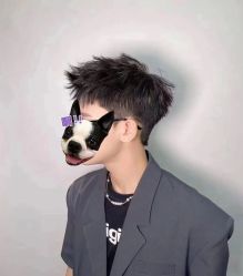 -贰伍玖造型