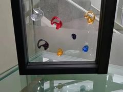 -海之声助听器无锡旗舰中心·儿童验配中心