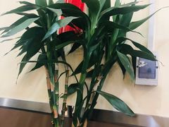 -晋乡亲刀削面(东风桥东店)