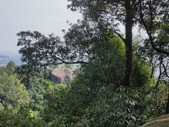 -火炉山森林公园