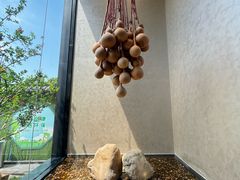 -羲和雅苑•北京烤鸭(国贸商城店)