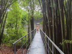 -鹿野苑石刻艺术博物馆