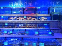 -青蓬蒸汽海鲜·深圳老字号·团建聚会(壹方城店)