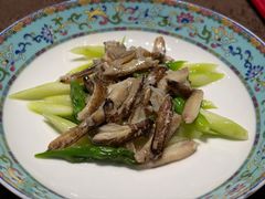 -新光酒家·河豚·海鲜·蟹料理(浦东店)