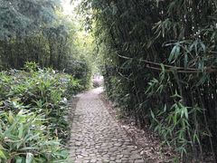 -白塘生态植物园