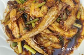 East China Sea Mixed Net Fish