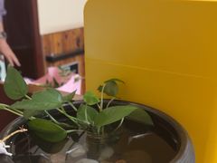 -竹雀古法采耳(青岛麦凯乐店)