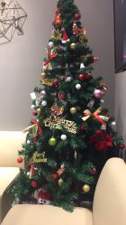 -三只熊皮肤管理中心