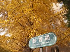 -辽宁大学(崇山校区)