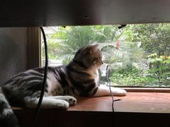 景观位-咖法森林·咖啡  酒吧(天河店)