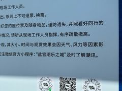-观潮胜地公园
