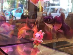 -振生清真饭店(永安道店)