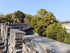 -黄贤森林公园
