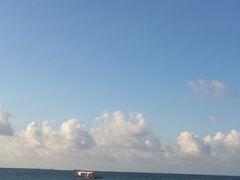 -三亚湾红树林度假世界(木棉酒店)