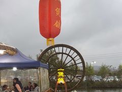 -一煲鸽