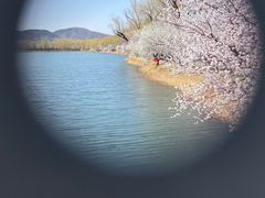 -颐和园
