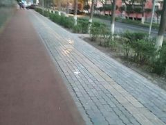 -小绿谷公园