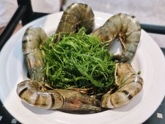 -龙泉人椰子鸡.糟粕醋.海南菜(三亚旗舰店)