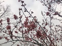 -自然谷恐龙园