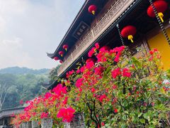 -杭州上天竺法喜讲寺