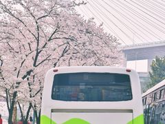 -上海南浦大桥长途旅游客运站