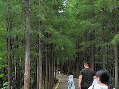 -云龙湖旅游景区