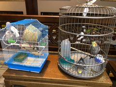 -蘭奢雅集·江浙菜(青山江滩店)