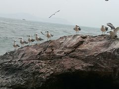 -海驴岛(荣成市)