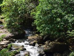 -广州白江湖森林公园