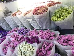 -溪岸路花鸟市场