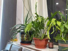 -金阁家常菜(贵阳路店)