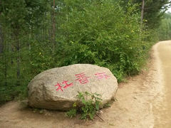 android_upload_pic-莫尔道嘎国家森林公园