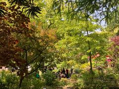 -上海醉白池公园