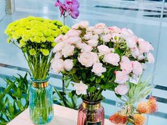 -盒马X会员店(上海森兰商都店)