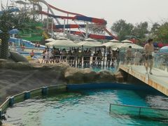 -秦皇岛乐岛海洋王国