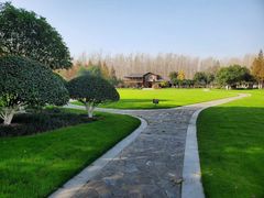 -合肥滨湖国家森林公园