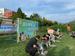 -趣玩宠物乐园寄养训犬训狗游泳池