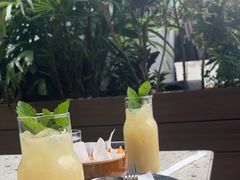 -gaga(深圳南山益田假日广场店)