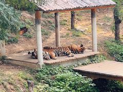 -石家庄市动物园