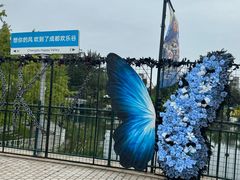 -成都欢乐谷